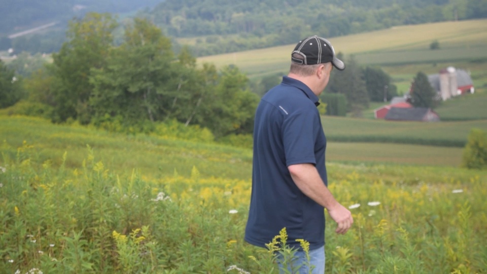 Deer Food Plot Location Strategies