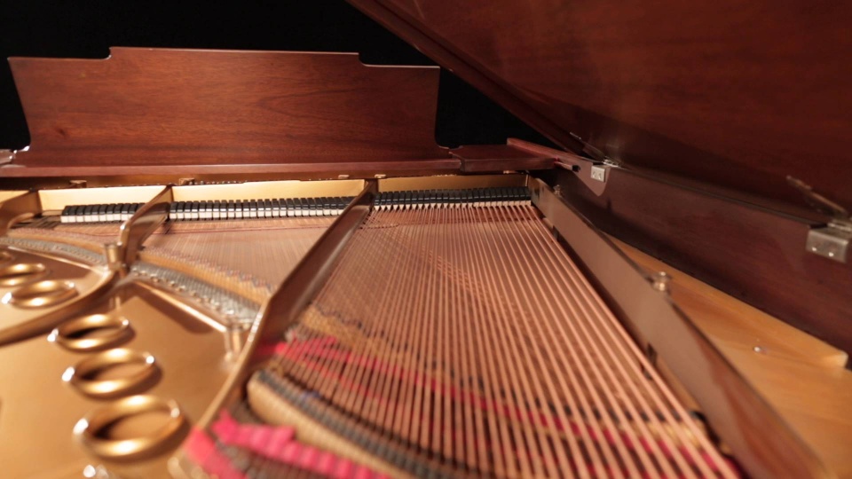 1925 Steinway Grand M