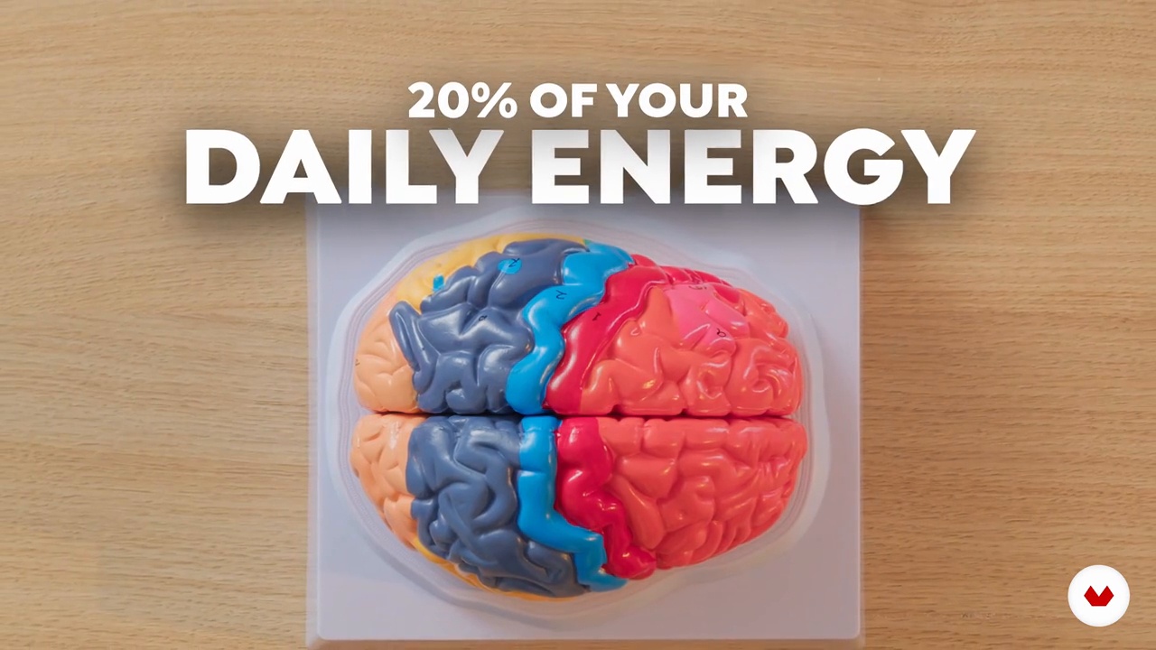 Brain Nutrition for Creatives: Eat for Innovation & Flow