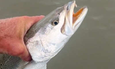 Matagorda Report Video 0