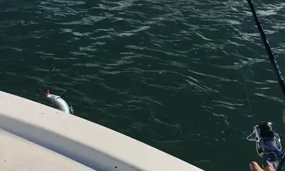Port Canaveral Report Video 0