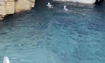 Great experience, nice boat. 