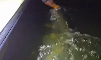 Night fishing action have been insane°