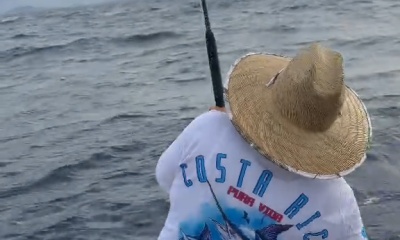 1st sailfish