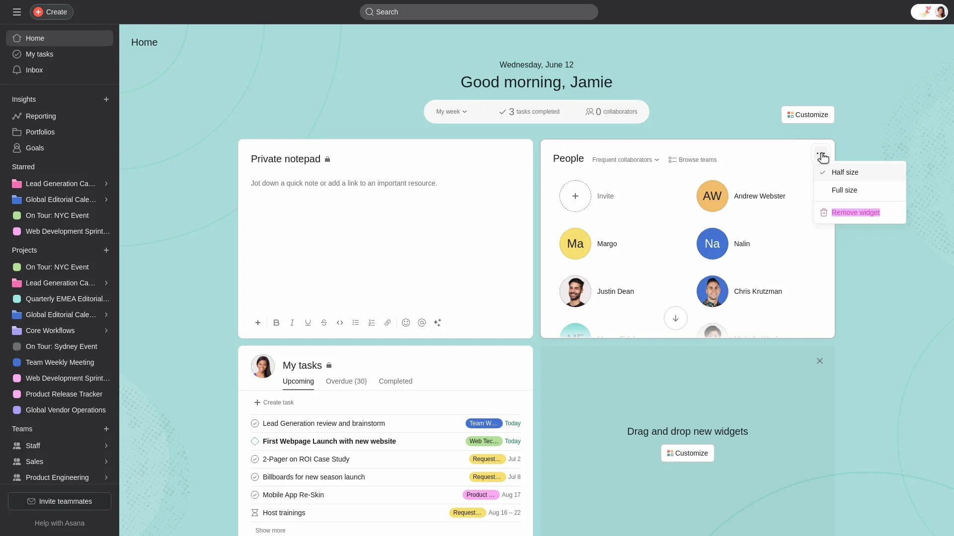 Asana screenshot 5