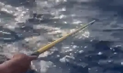 Playa Del Carmen Report Video 0