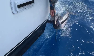 Cancún Report Video 2