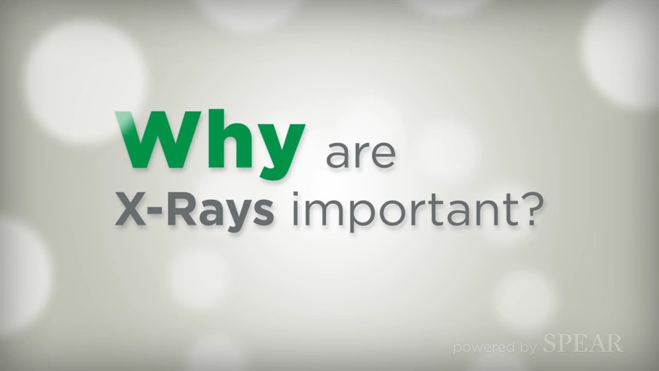 Dr. John Cherry, Jr., DMD -