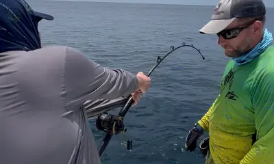 Stellar day inshore