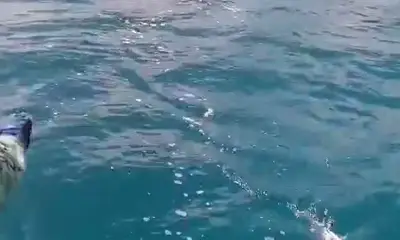 Playa Del Carmen Report Video 0