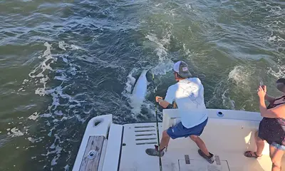 Biloxi Report Video 0