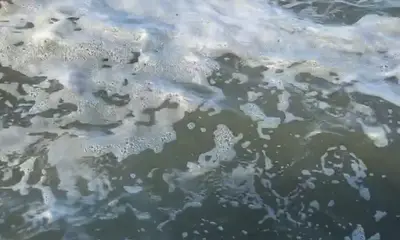 Venice Report Video 0