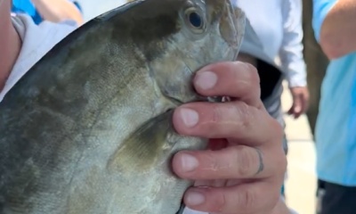 Englewood Report Video 0