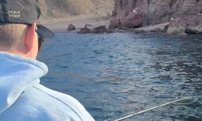 Bahía de los Ángeles Report Video 1