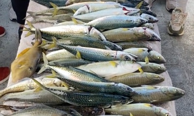 Corio Bay Report Video 3