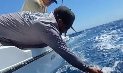 Cabo San Lucas Report Video 0