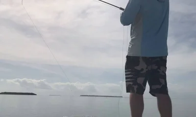 Miami Report Video 1