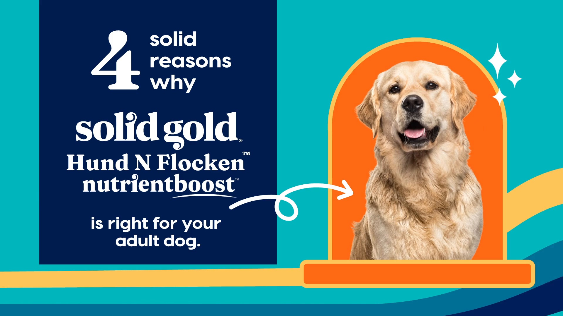 Hundenflocken dog outlet food