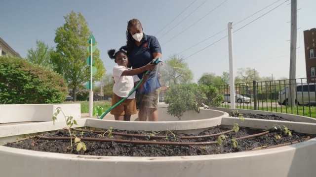 Order Your Seeds Early This Year - Chicago Community Gardeners