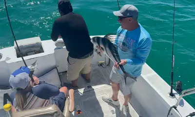 Cabo San Lucas Report Video 0
