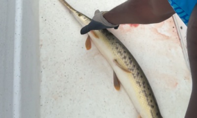 Atlanta Report Video 1