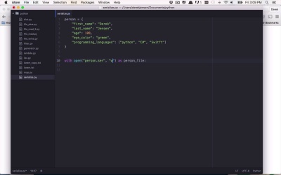 Learn to Code With Python - Reading and Writing Complex Objects