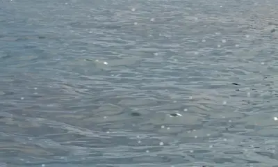 Great Fishing Trip