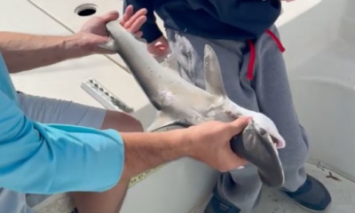 I asked and received 