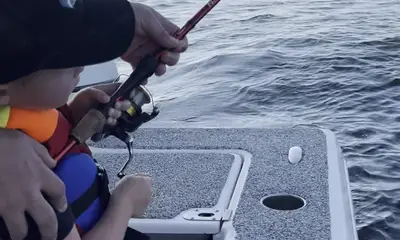 Alabama Bericht Video 2