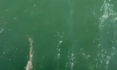 Norfolk Видео отчет 0