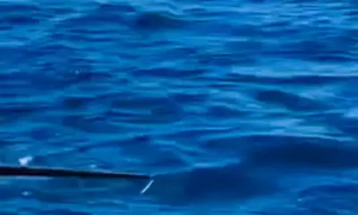 Destin Report Video 1