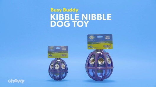 PETSAFE Busy Buddy Kibble Nibble Treat Dispenser Dog Toy, Medium/Large 