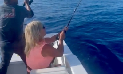 San Jose del Cabo Report Video 0