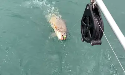 Erie Report Video 0