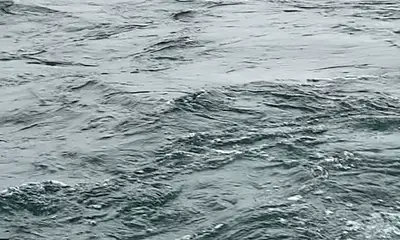 Erie Report Video 0