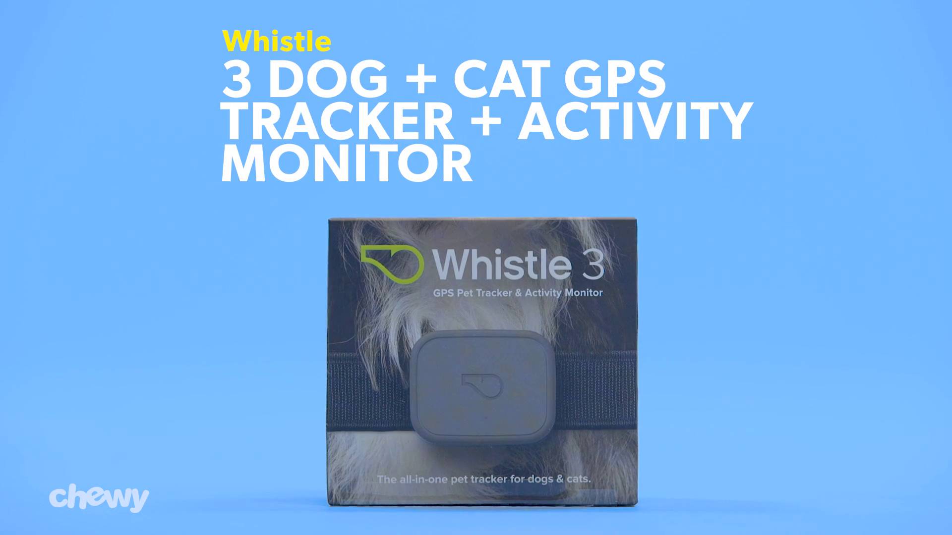 chewy gps tracker