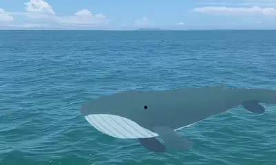 Herradura Report Video 0