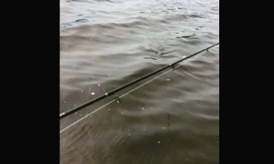 Sanibel Report Video 0