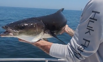 Virginia Beach Report Video 0