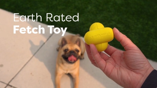 Our Dog's Favorite Fetch Toys