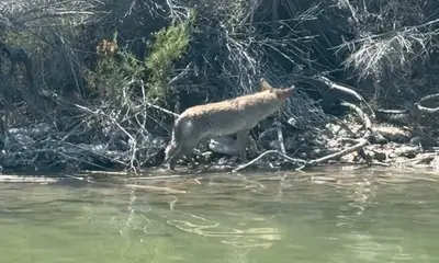 Lake Havasu City Report Video 0
