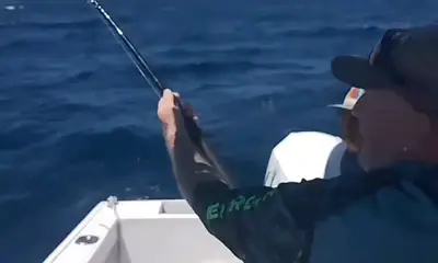 San Jose del Cabo Report Video 0