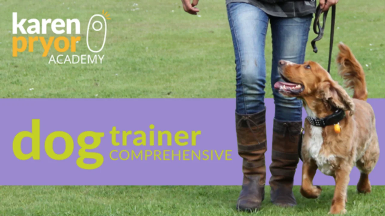 Dog Training Charlotte Nc