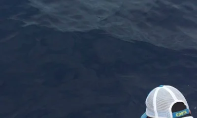 Herradura Bericht Video 0