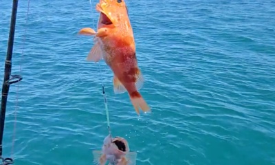 Kaikoura Trip