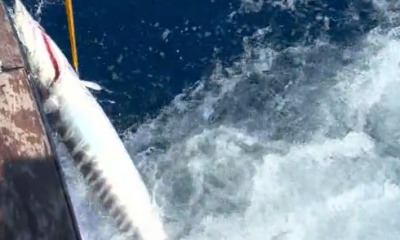 Atlantic Beach Report Video 0