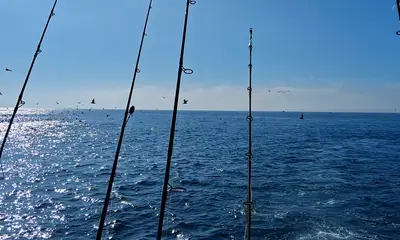 Dana Point Report Video 0