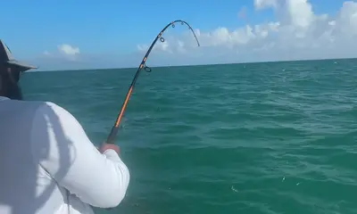 Florida Keys Report Video 2