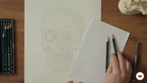 Lesson image
