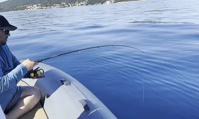 Fishy fun all morning
